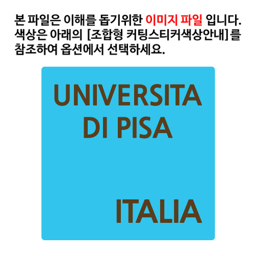 [이탈리아]피사 대학교옵션에서 색상을 선택하세요(조합형 커팅스티커 색상안내 참조)