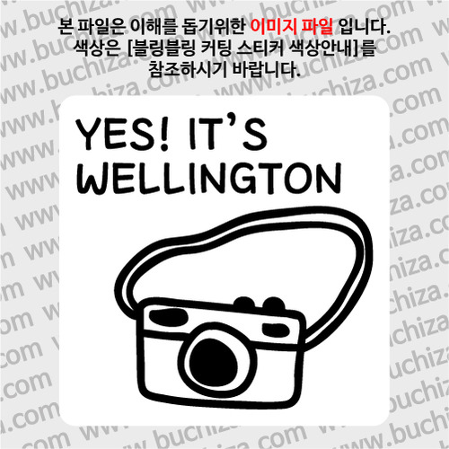 [블링블링 세계여행(도시명)]카메라-뉴질랜드/웰링턴 B 옵션에서 색상을 선택하세요(블링블링 커팅스티커 색상안내 참조)