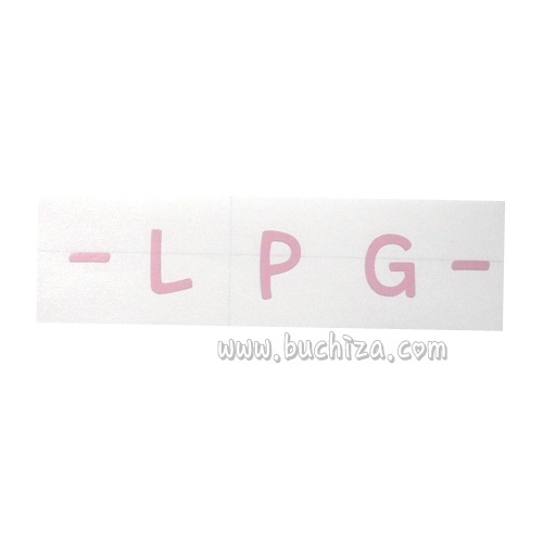 레터링형 주유구-LPG 4 색깔있는 부분만이 스티커입니다.
