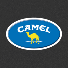 [아웃도어] Camel[Digital Print]