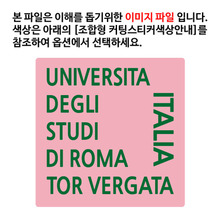 [이탈리아]로마 토르베르가타 대학옵션에서 색상을 선택하세요(조합형 커팅스티커 색상안내 참조)
