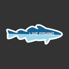 [낚시] Live Fishing[Digital Print 스티커]사진 아래 ㅡ&gt; 예쁜 [ 낚시 ] 스티커 많이 있어요.....^^*