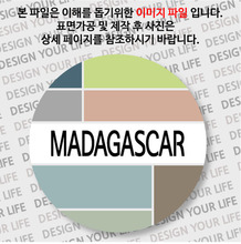 마다가스카르마그넷 - 마다가스카르 / 컬러브릭