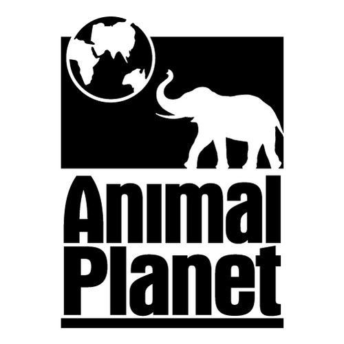 [아웃도어] Animal Planet 5 사진상 [ 블랙 ] 부분만이 스티커 입니다...[ 사진 아래 ] ▼▼▼부착 실사진 + 더 멋진 [ 아웃도어 ] 스티커 구경하세요....^^*