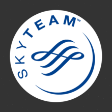 [항공사시리즈] Sky Team[Digital Print 스티커][ 사진 아래 ] ▼▼▼부착 실사진 + [ 세계항공사 ] 스티커 구경하세요......^^*~