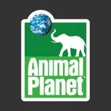 [아웃도어] Animal Planet[Digital Print]사진 아래 ↓↓↓ 부착실사진 + 다양한 [ 아웃도어 ] 스티커 많습니다..참고하세요....^^*