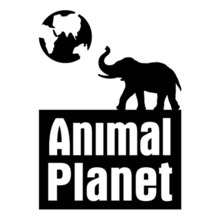 [아웃도어 ] Animal Planet 2사진상 [ 블랙 ] 부분만이 스티커 입니다...^^*
