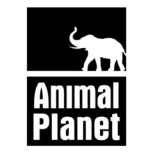 [아웃도어 ] Animal Planet 3사진상 [ 블랙 ] 부분만이 스티커 입니다...^^*
