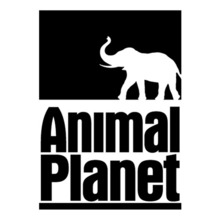[아웃도어 ] Animal Planet 4사진상 [ 블랙 ] 부분만이 스티커 입니다...^^*