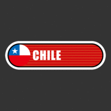 [Bar 국기] 칠레[Digital Print 스티커]