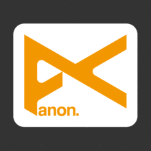 [스키/보드] Anon - Orange[Digital Print 스티커]